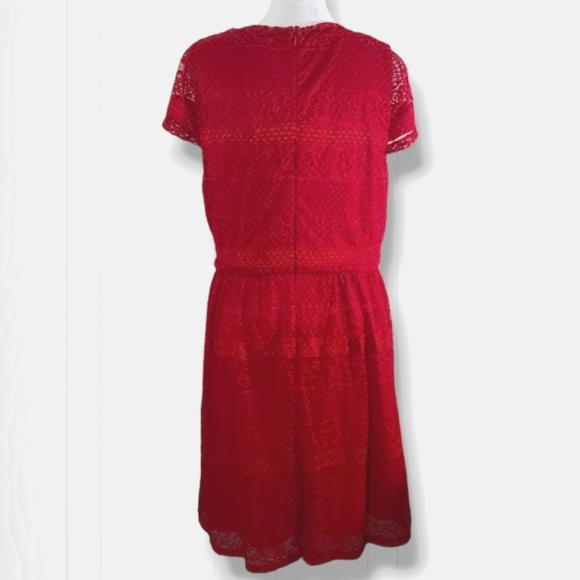 Alya Women's Red Floral Lace Short Sleeve Pleated A-Line Mini Dress Size Large - Picture 7 of 13